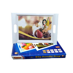 Bengal RTG Handle Tray (18inch)