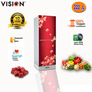 VISION GD Refrigerator RE 222L Lily FL Maroon TM