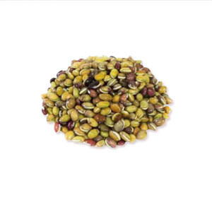 Beans Seed (শিম বীজ)